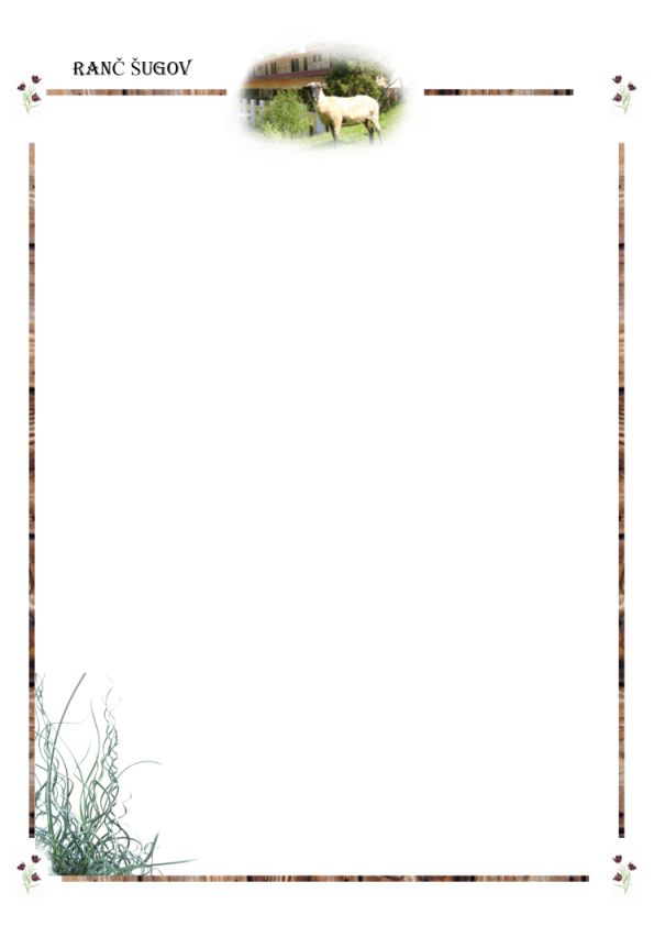 Briefpapier.jpg