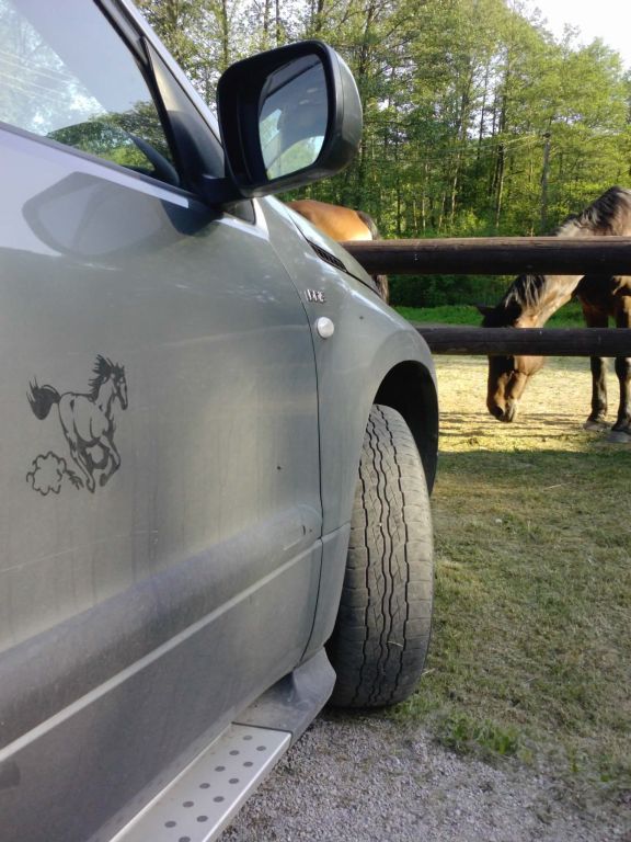 Firmenfahrzeug.jpg