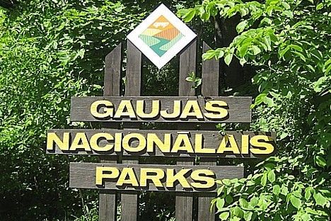 e1u142.jpg